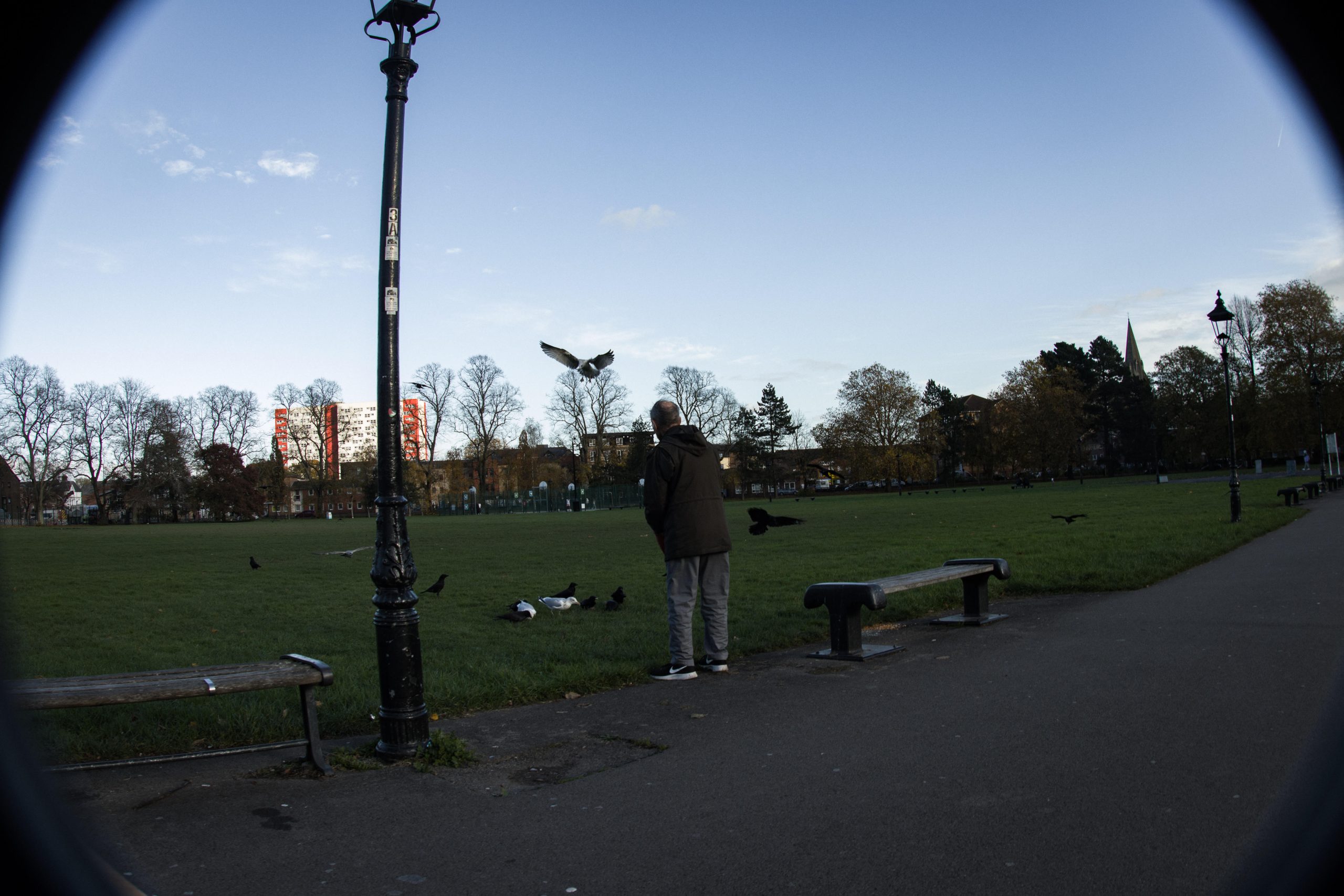 Bird man